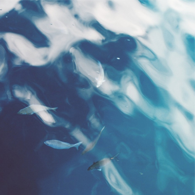 dive