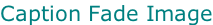Caption Fade Image