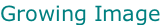 Growing Image